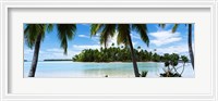 Framed Palm trees on the beach, Rangiroa Atoll, French Polynesia