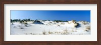 Framed Sand dunes in a desert, St. George Island State Park, Florida Panhandle, Florida, USA