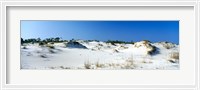 Framed Sand dunes in a desert, St. George Island State Park, Florida Panhandle, Florida, USA