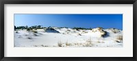 Framed Sand dunes in a desert, St. George Island State Park, Florida Panhandle, Florida, USA