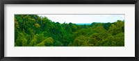 Framed Trees on the bay, Rempart and Mamelles peaks, Tamarin Bay, Mauritius island, Mauritius