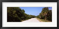 Framed Road passing through Ding Darling National Wildlife Refuge, Sanibel Island, Lee County, Florida, USA