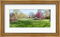 Framed Trees in a Garden, Sherwood Gardens, Baltimore, Maryland