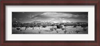 Framed High desert plains landscape with snowcapped Sangre de Cristo Mountains in the background, New Mexico (black and white)