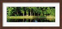 Framed Canal near Lisse, Netherlands