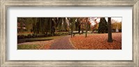 Framed Park at banks of the Avon River, Christchurch, South Island, New Zealand