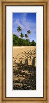 Framed Palm trees on the beach, Rarotonga, Cook Islands, New Zealand