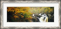 Framed Waterfall in autumn, Rogie Falls, Black Water, Garve, Ross-Shire, Scotland