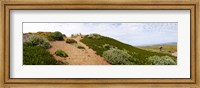 Framed Sand dunes covered with iceplants, Manchester State Park, California