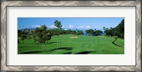 Framed Trees , Kaanapali Golf Course, Maui, Hawaii, USA
