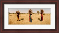 Framed Women carrying firewood on their heads, India