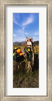 Framed Scarecrow in Pumpkin Patch, Half Moon Bay, California (vertical)