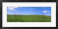 Framed Barbed Wire fence in a field, San Rafael Valley, Arizona, USA