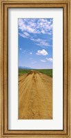 Framed Dirt road passing through San Rafael Valley, Arizona
