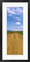 Framed Dirt road passing through San Rafael Valley, Arizona