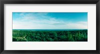 Framed High angle view of trees with Atlantic Ocean at Fort Tilden beach, Queens, New York City, New York State, USA