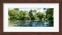 Framed Pond in the Central Park, Manhattan, New York City, New York State, USA