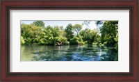 Framed Pond in the Central Park, Manhattan, New York City, New York State, USA