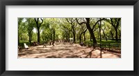 Framed Central Park, New York City, New York State