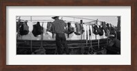 Framed Cowboy with tacks at rodeo, Pecos, Texas