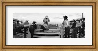 Framed Cowboys at rodeo, Pecos, Texas, USA
