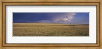 Framed Lone windmill in a field, New Mexico, USA