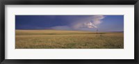 Framed Lone windmill in a field, New Mexico, USA