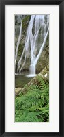 Framed Ferns and the Aber Falls, Abergwyngregyn, Gwynedd, Wales