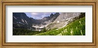 Framed Beargrass with mountains in the background, Montana