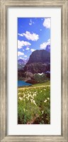 Framed Beargrass with Grinnell Lake in the background, US Glacier National Park, Montana