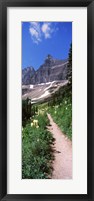Framed Hiking trail at US Glacier National Park, Montana, USA