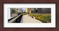 Framed Walkway in a linear park, High Line, New York City, New York State, USA