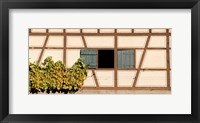 Framed Detail of half timber house and grape vines, Strumpfelbach, Baden-Wurttemberg, Germany