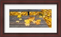 Framed Fallen leaves on a wooden bench, Baden-Wurttemberg, Germany