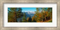 Framed Trees in autumn at Simplon Pass, Valais Canton, Switzerland (horizontal)