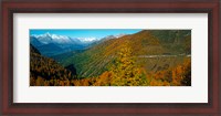 Framed Trees with road in autumn at Simplon Pass, Valais Canton, Switzerland