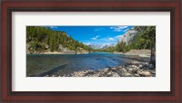 Framed River passing through a forest, Bow River, Banff National Park, Alberta, Canada