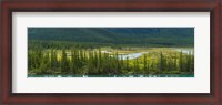Framed Trees on a hill, Bow Valley Parkway, Banff National Park, Alberta, Canada
