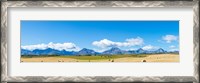 Framed Hay bales in a field with Canadian Rockies in the background, Alberta, Canada