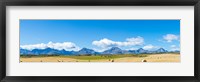 Framed Hay bales in a field with Canadian Rockies in the background, Alberta, Canada