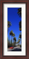Framed Palm trees along a road, Beverly Hills, Los Angeles County, California, USA