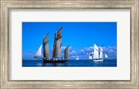 Framed Tall ship regatta featuring Cancalaise and Granvillaise, Baie De Douarnenez, Finistere, Brittany, France
