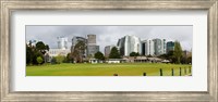 Framed Apartment buildings along Queens Road at edge of Albert Park Lake, Melbourne, Victoria, Australia