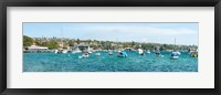 Framed Boats docked at Watsons Bay, Sydney, New South Wales, Australia
