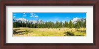 Framed Trees with mountain range in the background, Banff National Park, Alberta, Canada