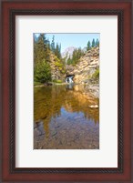 Framed Flowing stream in a forest, Banff National Park, Alberta, Canada