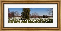 Framed Headstones in a cemetery, Arlington National Cemetery, Arlington, Virginia, USA