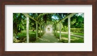 Framed Pathway in a botanical garden, Jardim Botanico, Zona Sul, Rio de Janeiro, Brazil