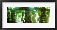 Framed Stone canopy in the botanical garden, Jardim Botanico, Zona Sul, Rio de Janeiro, Brazil