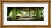 Framed Canopy in the botanical garden, Jardim Botanico, Zona Sul, Rio de Janeiro, Brazil